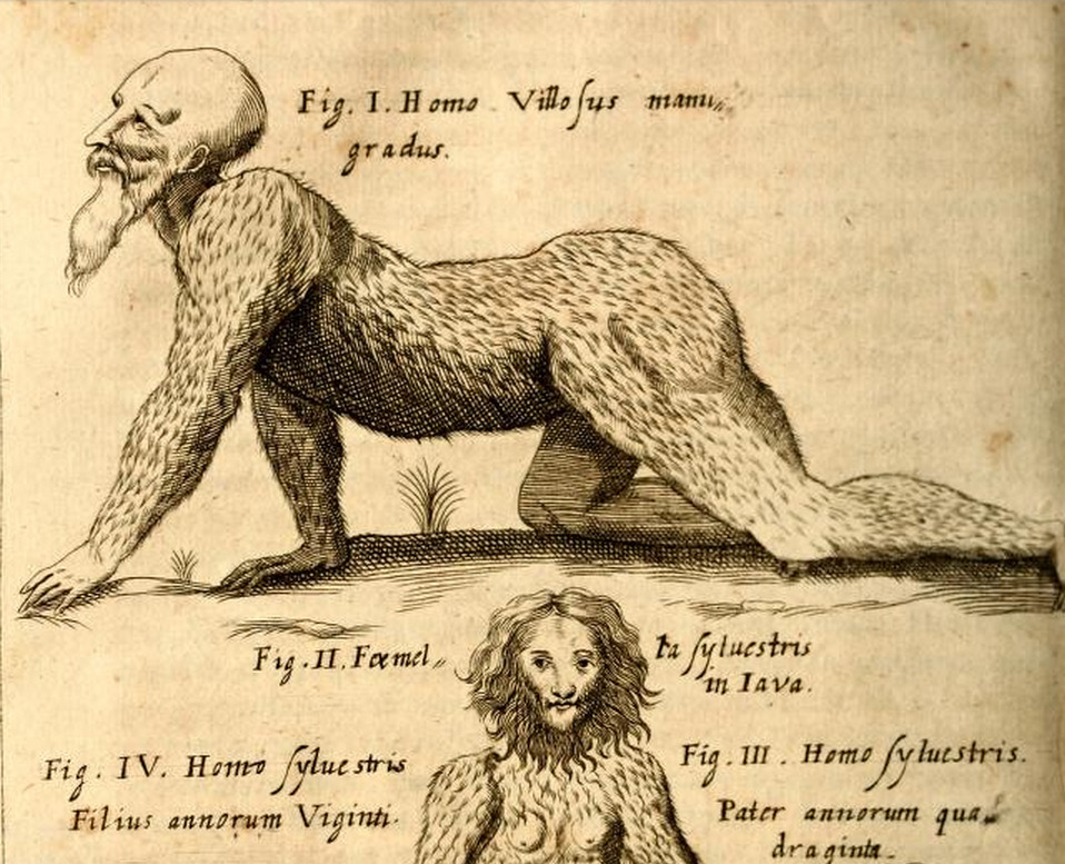 magictransistor: Gaspar Schott. Physica Curiosa, Mirabilia Naturæ et Artis. 1662.