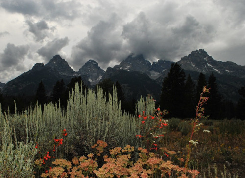 mtfuji:Tetons Landscape