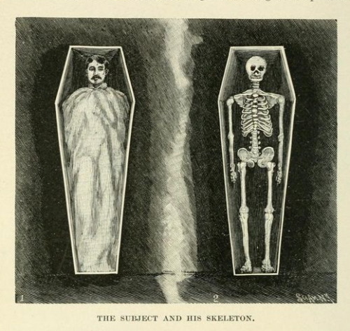 nemfrog:The subject and his skeleton.  Magic; stage illusions and scientific diversions, including t