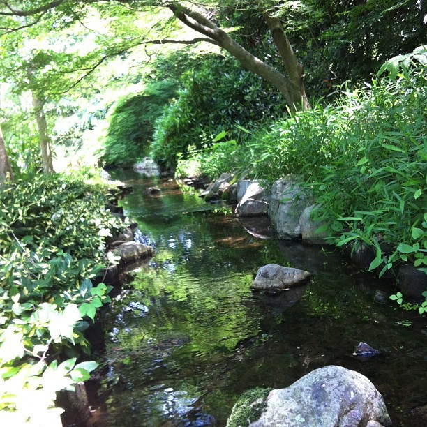 Lewis Ginter Botanical Garden — Peaceful creek. #lewisginter #nature # ...