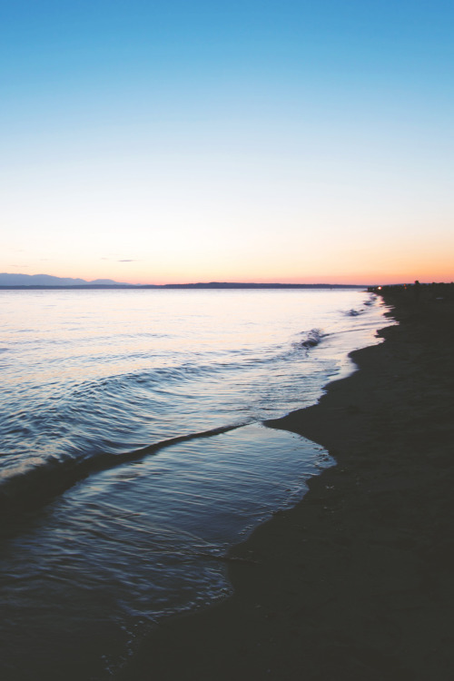 Golden Gardens x Sunset