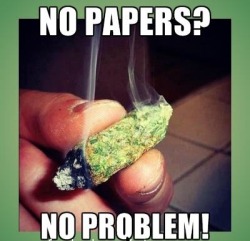 we-all-love-weed:  Like this? then follow