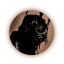 fictionformed