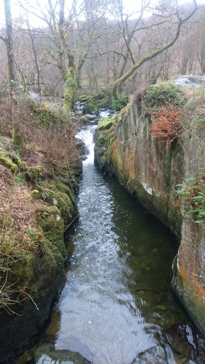 Raindrops fall into a channel in Aira Beck above Aira Force in March 2019