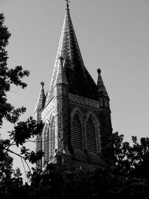 mortisia:  Church Spire, Hamilton, Victoria, Australia.