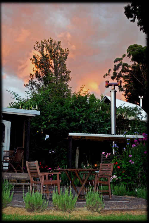 liquidredwax:  Warm Earth Cottage, Katikati, New Zealand  Taste of Home. NZ.