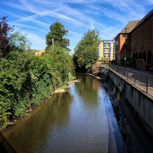 Ravensbourne River. Lewisham, South London, August 2018.