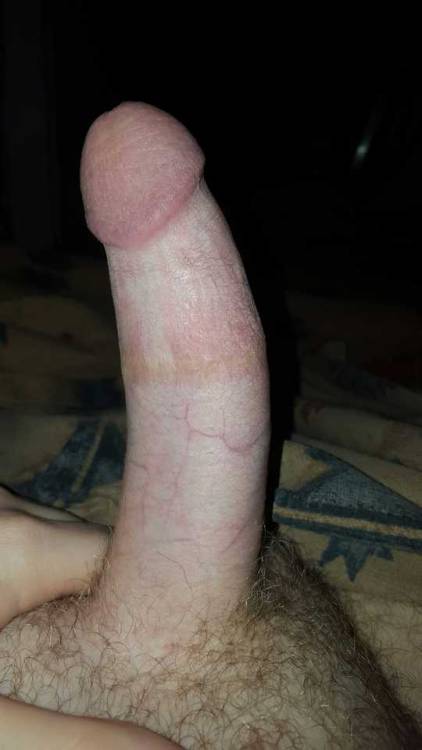 penisesarebeautiful: feel free to message me