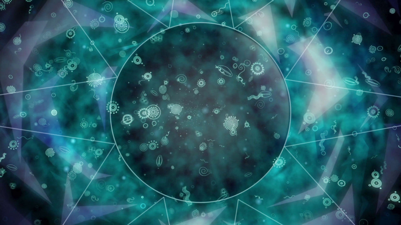 wishingwithwalt:  1/30 Beautiful Animated Movies→ The Secret of Kells (2009)