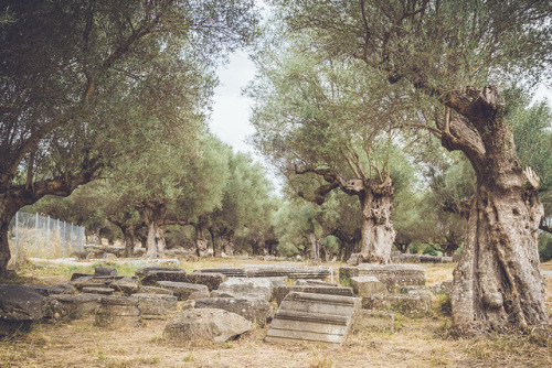 Sparta, GreeceGreece | Ancient ruins 