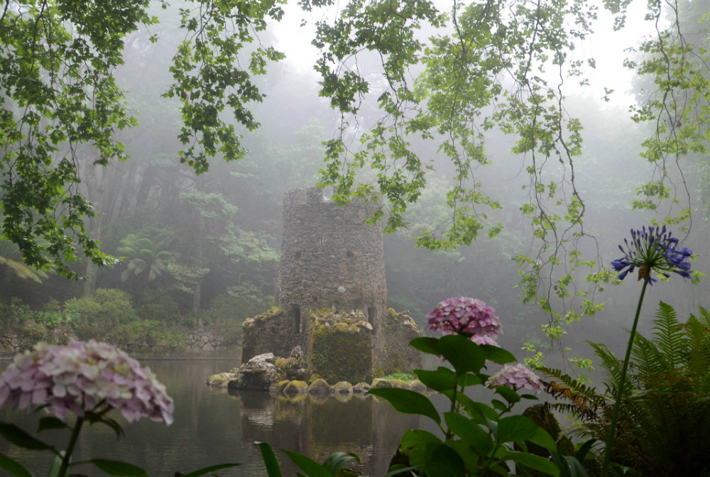 hvllucinvtion:  mother natures blog
