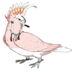 koverick:Hello hi my name is Ashleigh and I’m here to inform you if you didn’t know that Lulakan is not just a beautifully designed bird he is a real bird he is a Major Mitchell’s Cockatoo. I found this out a little while ago because my school has