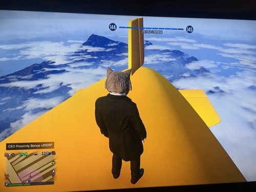 Im the first ever player / furry to stand ontop of the blimp on gta5 online while being the maximum 