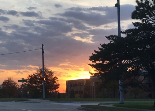 The sky was very pretty this morning (featuring the mall parking garage, the view from my work parki