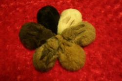 bunny huddle!trilithbaby