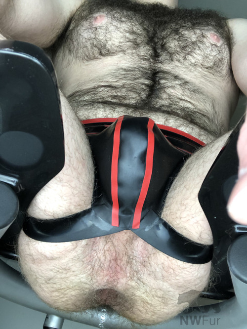 nwfur:  nwfur:Who wants to be under me? 😏 For the Saturday morning crowd.