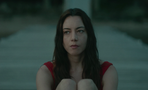 365filmsbyauroranocte:Aubrey Plaza in Black Bear (Lawrence Michael Levine, 2020)