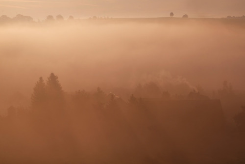 ausloeserin:rising (by ausloeserin)