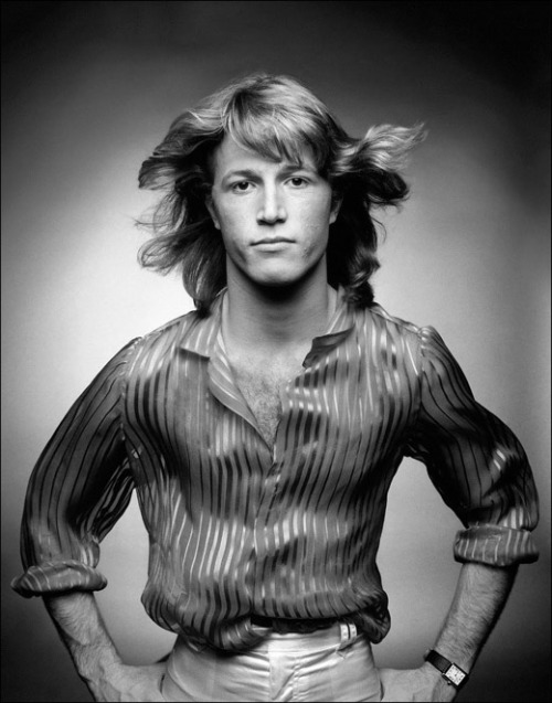 Andy Gibb (1958 - 1988)