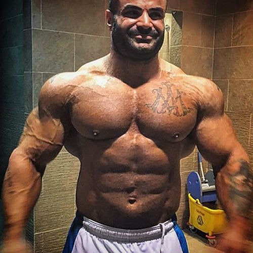 myfavoritemusclemen:  Hesam Aliakbar