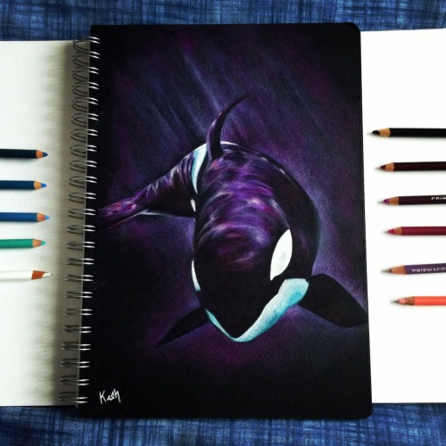 cuntgetenoughofyourlove:  emptythetanks:   kash-mash:  Purple whale  HOLY CRAP THIS IS AMAZING   o___O