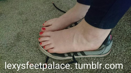 lexysfeetpalace: Feet on shoes part 2 @lexysfeetpalace