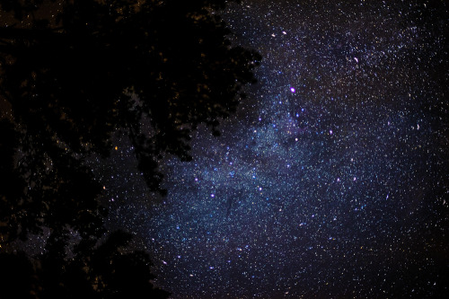 Shooting Star Parties in Georgia