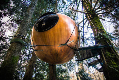 bobbycaputo:  Canada’s Giant Spherical Treehouse Hotels Let You Sleep in the Trees  
