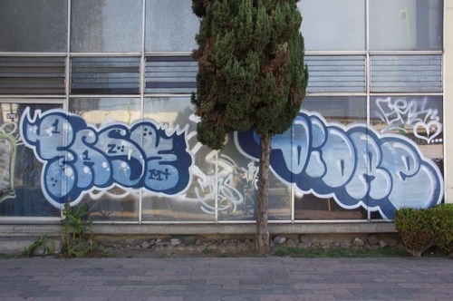 PASE • DIORE #pase @og_pase #diore @el_diore #graffiti #graffitibombing #street #activelifestyl