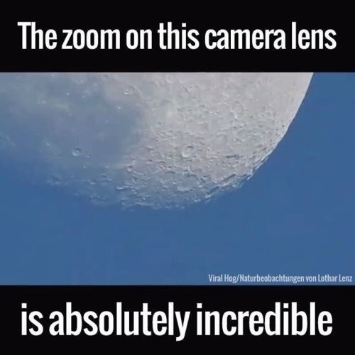 The lens on this P900 83x Optical Zoom is f*cking unrealhttp://bit.ly/2ijnoHK