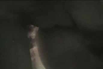 omo-erectus:  Video HERE  Always wanted to get fucked In a pool