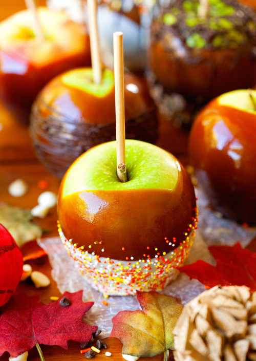 sweetoothgirl: Perfect Caramel Apples