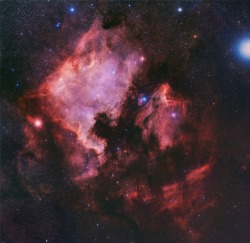 afro-dominicano:  NGC7000 IC5070 MegaMosaic: North America and The Pelican by Francesco Antonucci     The two emission nebula measure about 50 light-years across, are located about 1500 light-years away, and are separated by a dark absorption cloud. 