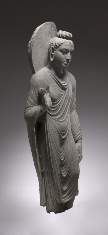 ancientpeoples: Standing Shakyamuni, 150-200 AD Pakistan, probably Takht-i-Bahi, Gandhara style Schi