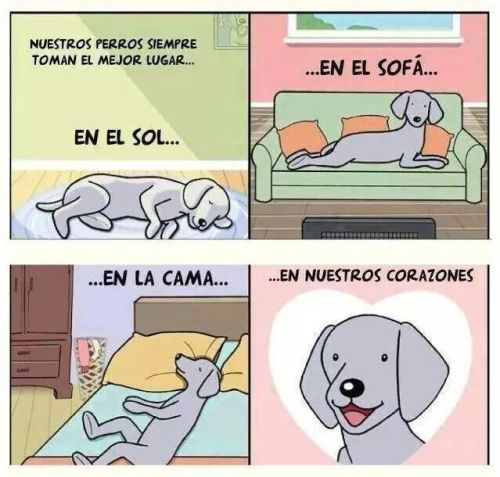 futubandera:  Momento tierno  
