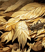 zireza:  🍂 A u t u m n : A New Beginning 🍂 “Steam rising underneath a canopy