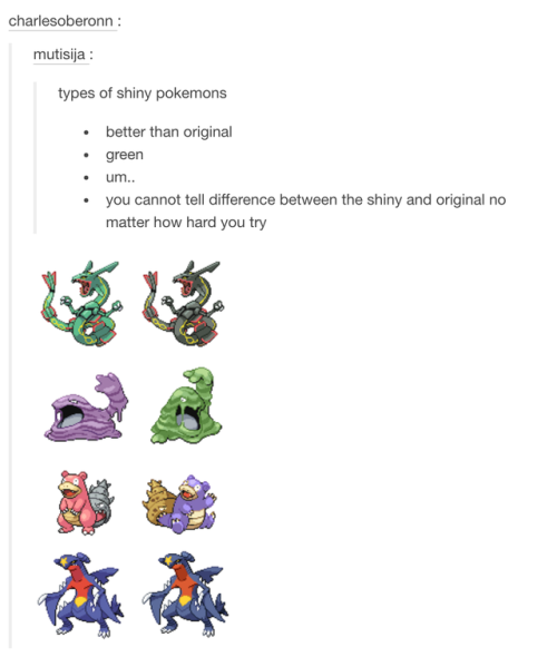 i-have-no-gender-only-rage:tumblr and pokemon