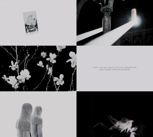 stormbornseas: READ IN 2019 || bloodleaf  I’m just a girl…figuring things out as I