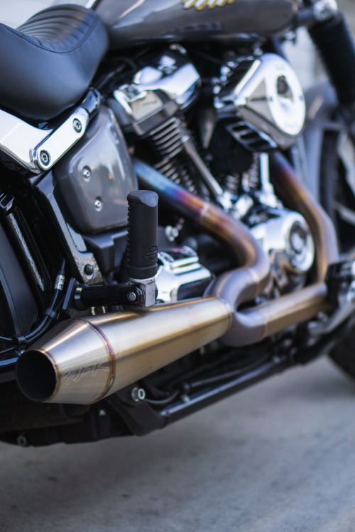 THE WALK-AROUND: She’s Complete!Paint: Sandblasted Steel w. Retro H-D Decal by The Custom Shop