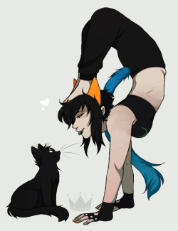 princessharumi:  felines are weird creatures  