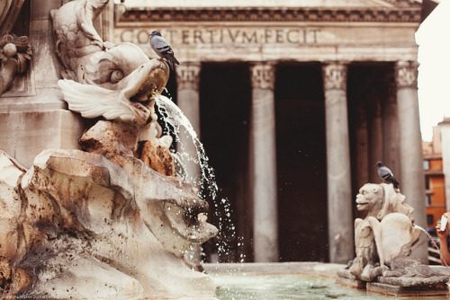 paeur:  November in Rome by Paris in Four Months on Flickr. 