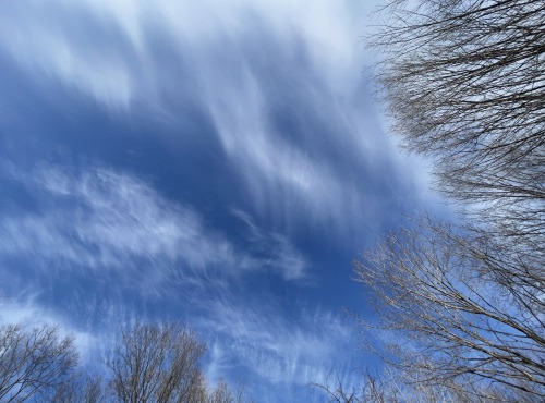 March skies…..the clouds were great in the afternoon, then ole man winter decided he wasn’t t