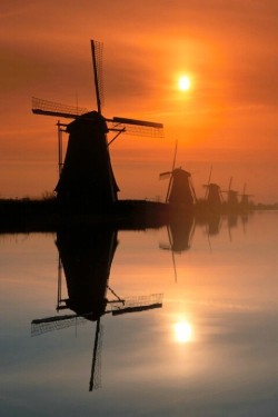 Turning Down The Light (Sunset Over Windmills In Holland, Netherlands)