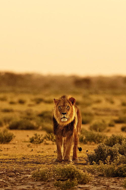 l-eth-e:   U n t i t l e d  /  by Ed Hetherington (source)