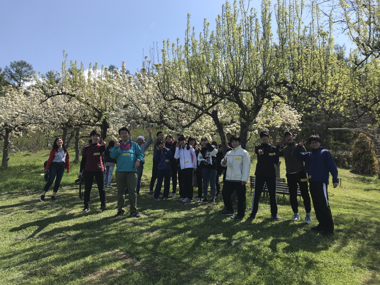 札幌国際大学 人文学部 心理学科 春のデイキャンプ In 余市教育福祉村 臨床心理