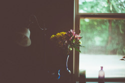 chibiyay:  that morning light by islandgirlsj on Flickr.  X