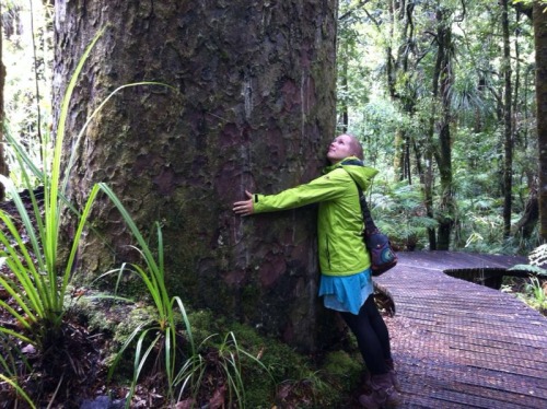 The Tree.... My Friend :)