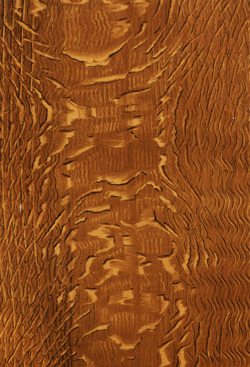 widenerlibrary:Gorgeous examples of painted wood grain from American Grainers Hand-book: A Popular a