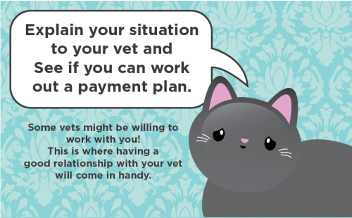 vesperasparx:  thetinytabby:  If you find yourself suddenly needing a TON of money for an emergency vet bill, it can be very stressful! Luckily, there are some things you can do to help your situation. Apply for Care CreditFinancial Resources by US StateY