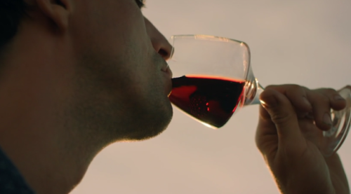 adow-trash: pleasereadmeok: I want to thank the director of ‘The Wine Show’ for knowing 